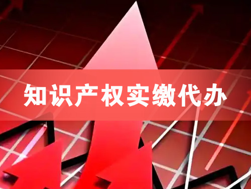 淮安知识产权实缴资本代办